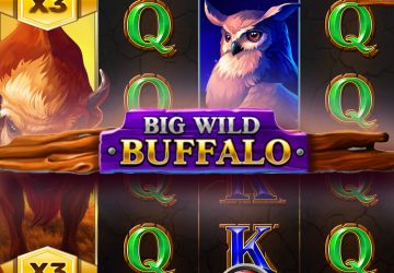 Игра Big Wild Buffalo в РиоБет казино